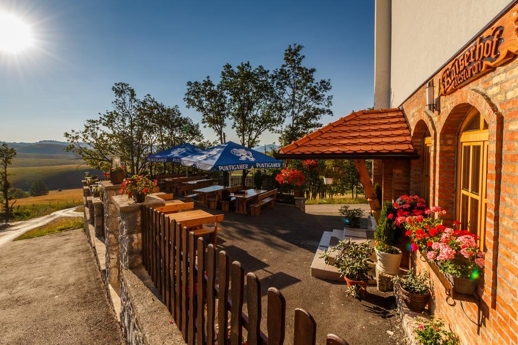 Guest House Vila Djokic Zlatibor Exteriör bild